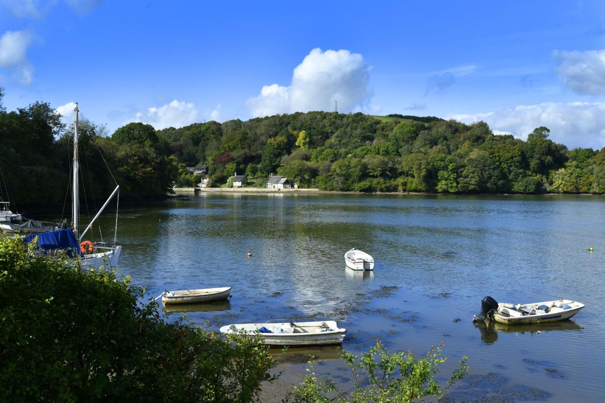 Villa Water Edge House & Boathouse - With Swimming Pool Dittisham Exterior foto